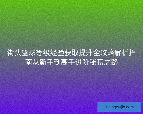 街头篮球等级经验获取提升全攻略解析指南从新手到高手进阶秘籍之路